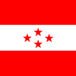 Nepali Congress flag
