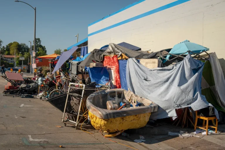 (A homeless encampment in Los Angeles on June 20, 2023. Photo Curtsy: Julie A Hotz for CalMatters)