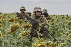 (In this photo provided by Ukraine’s 65th Mechanized Brigade press service, recruits practice military skills on a training ground on a sunflower field in the Zaporizhzhia region, Ukraine, Monday, Aug. 11, 2025, (Andriy Andriyenko/Ukraine’s 65th Mechanized Brigade via AP)