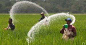 VENEZUELA-FARMS/