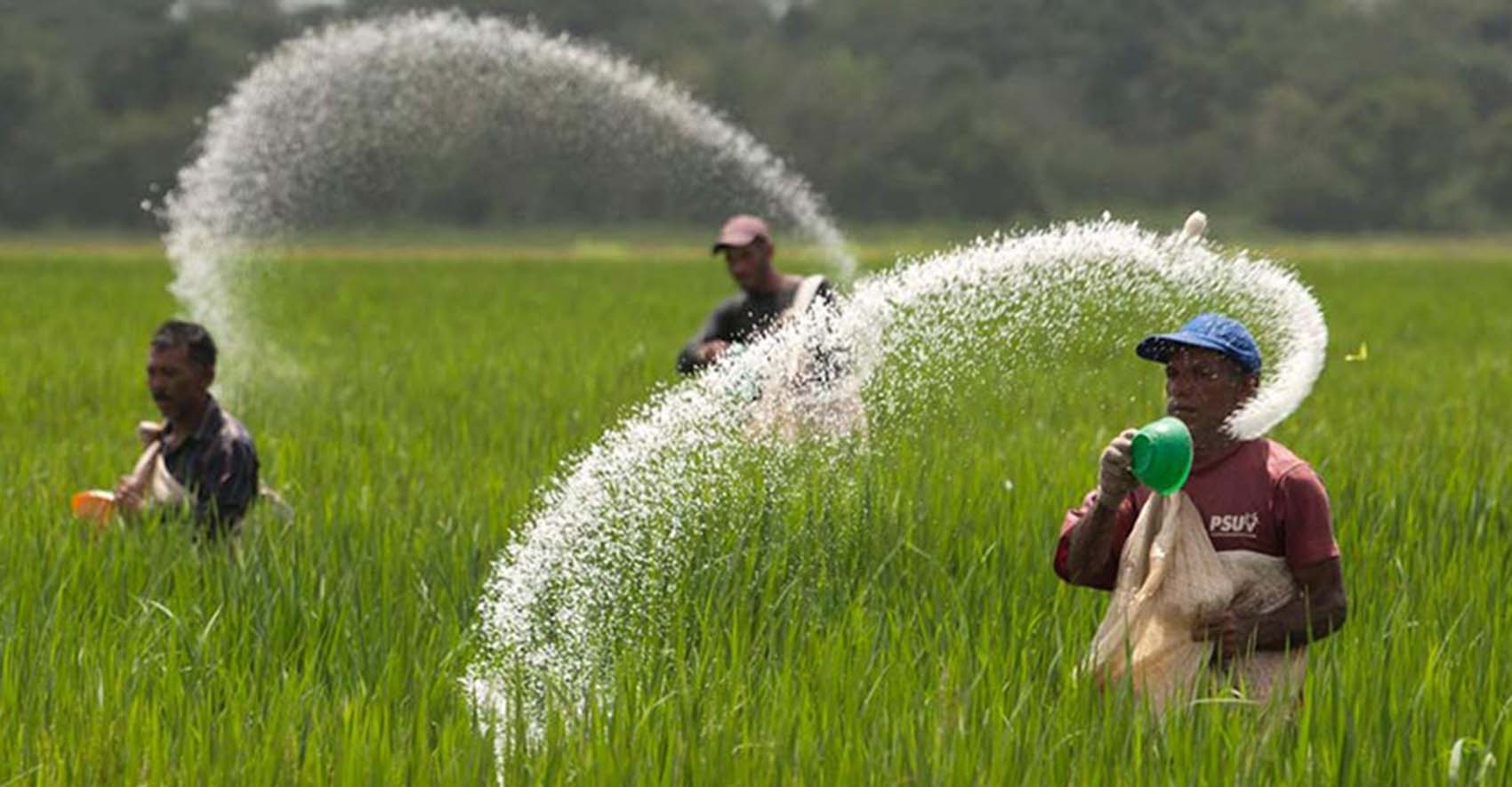 VENEZUELA-FARMS/