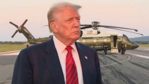 president Trump