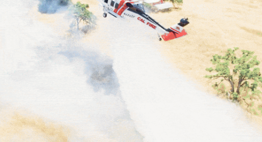 Wildland Fire