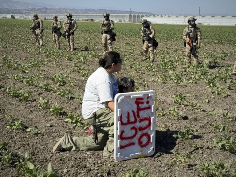 (A demonstrator kneels in front of federal agents in a farm field during an immigration raid in Camarillo, Calif., Thursday, July 10, 2025.  AP Photo: Michael Owen Baker, File)