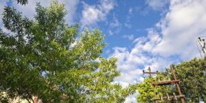 Clear weather
