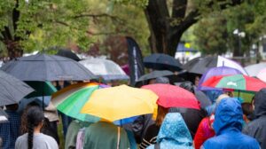 (The ANU researchers say the misuse of PLT data is generating sensational news headlines that are fuelling misinformation. Photo: ANU)