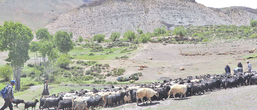 Mustang villagers