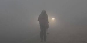 Fog in Tarai