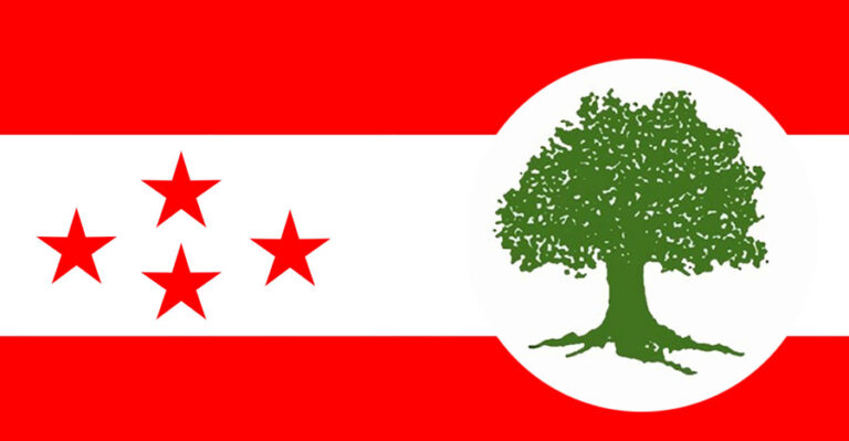 NC Flag