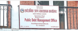 Public debt manage