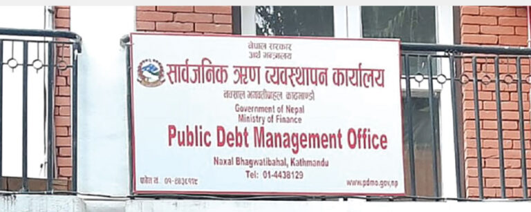 Public debt manage