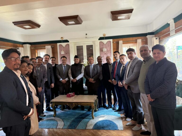 UML Chair Oli NRNA