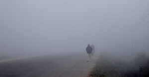 Fog