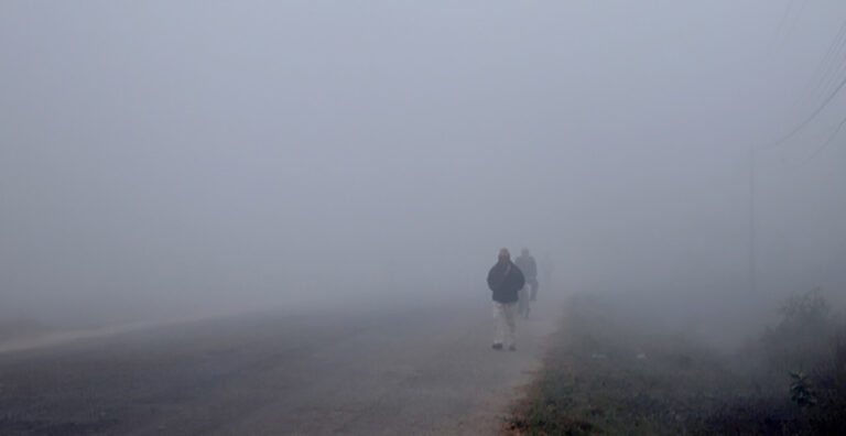 Fog