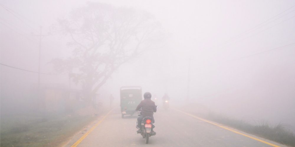 Fog in Tarai