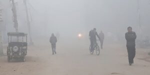 Fog in Tarai