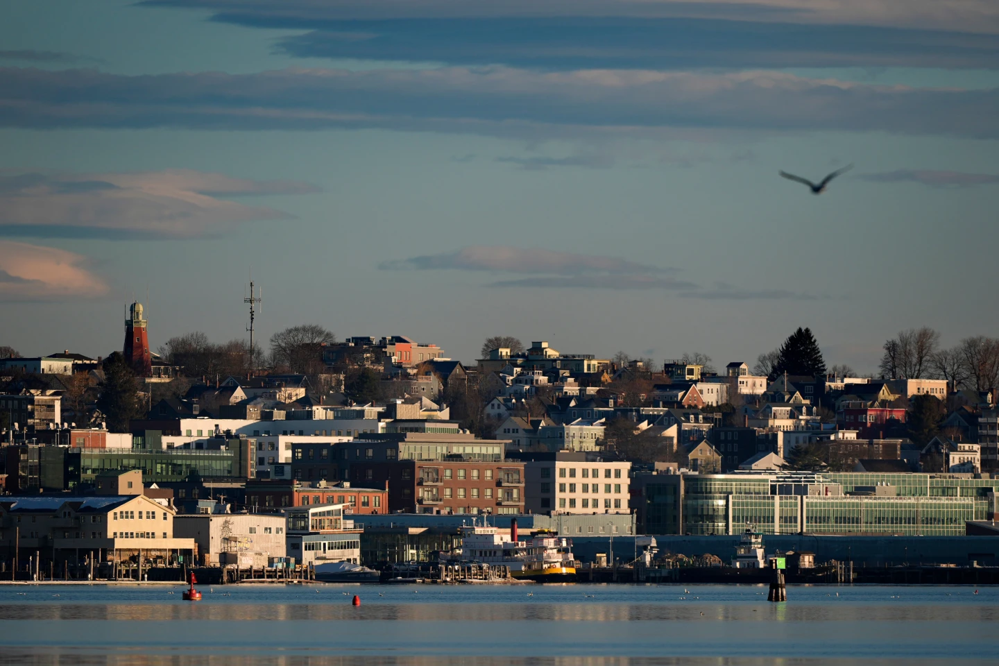 Maine morning view