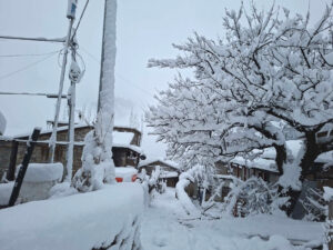 Humla snow