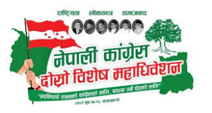 NC special convention