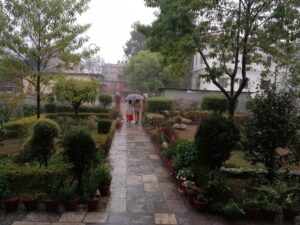 Rain