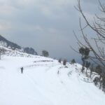 Snowfall