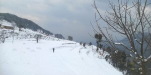 Snowfall