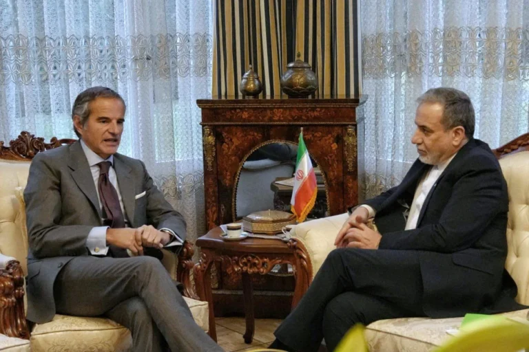 Iranian Minister Abbas IAEA Rafael