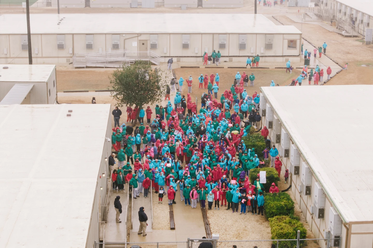 Detained immigrant children