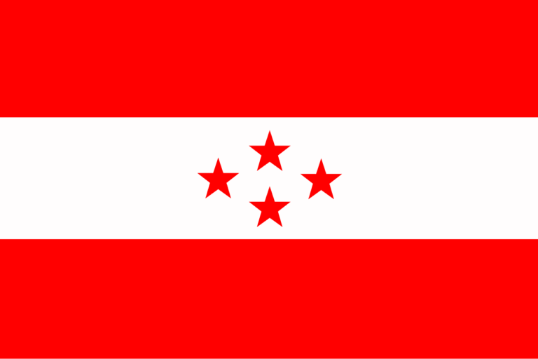 Nepali Congress Flag