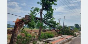 Kanchanpur Windy