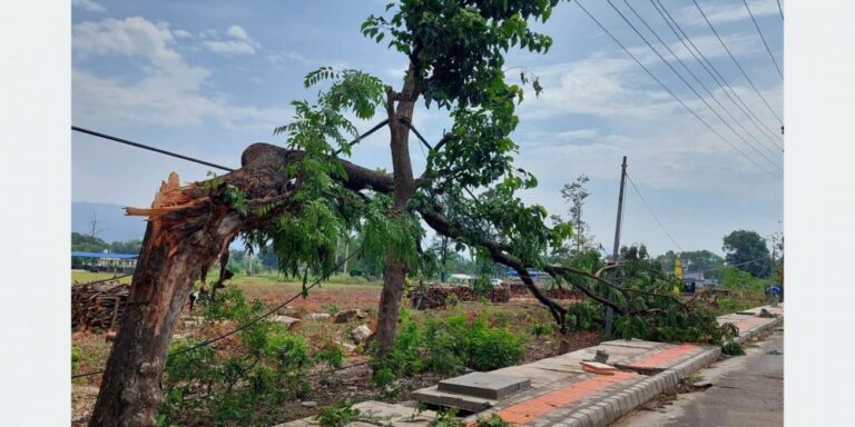 Kanchanpur Windy