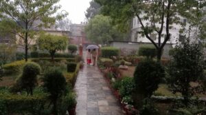 Rain