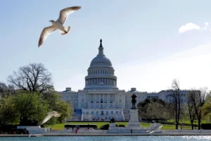 US Capital