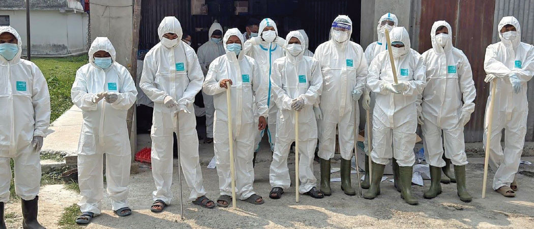 bird flu
