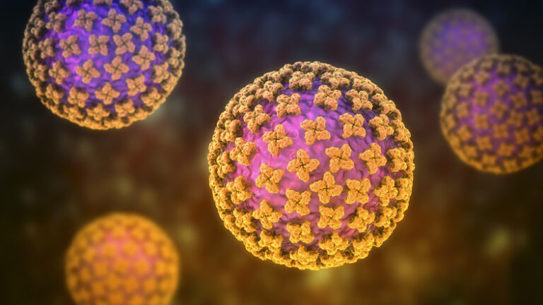 Hantavirus, the virus which causes hemorrhagic fever with renal syndrome and human pulmonary syndrome, transmitted from rodents, 3D illustration
