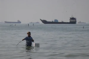 Hormuz