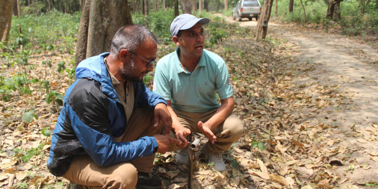 Human-wildlife conflict