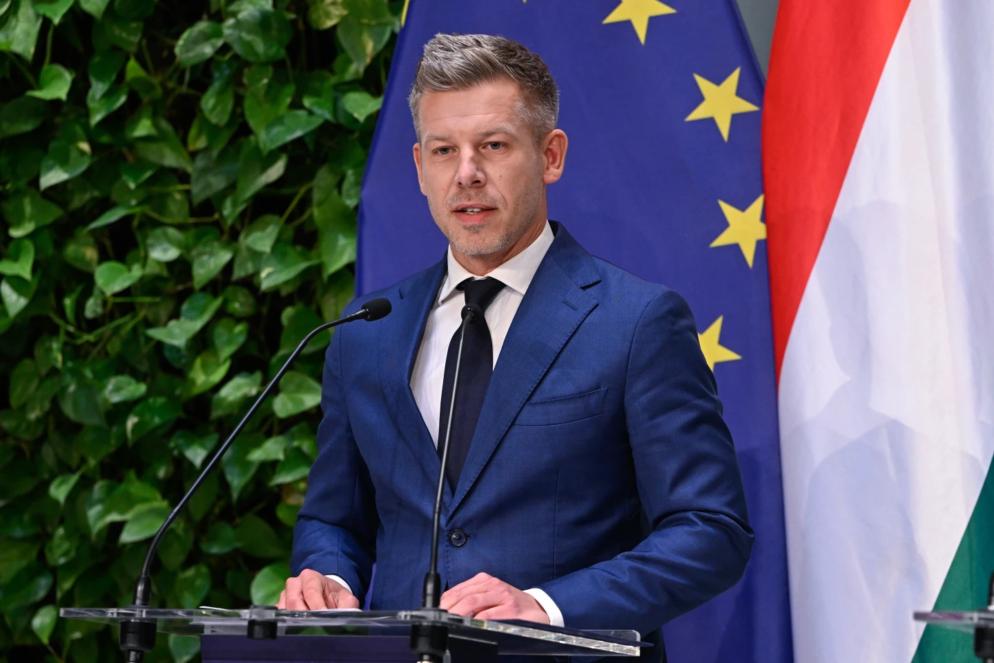 Hungary’s Magyar