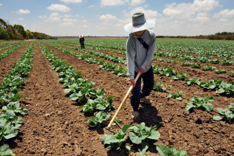 Migrant workers in Israel