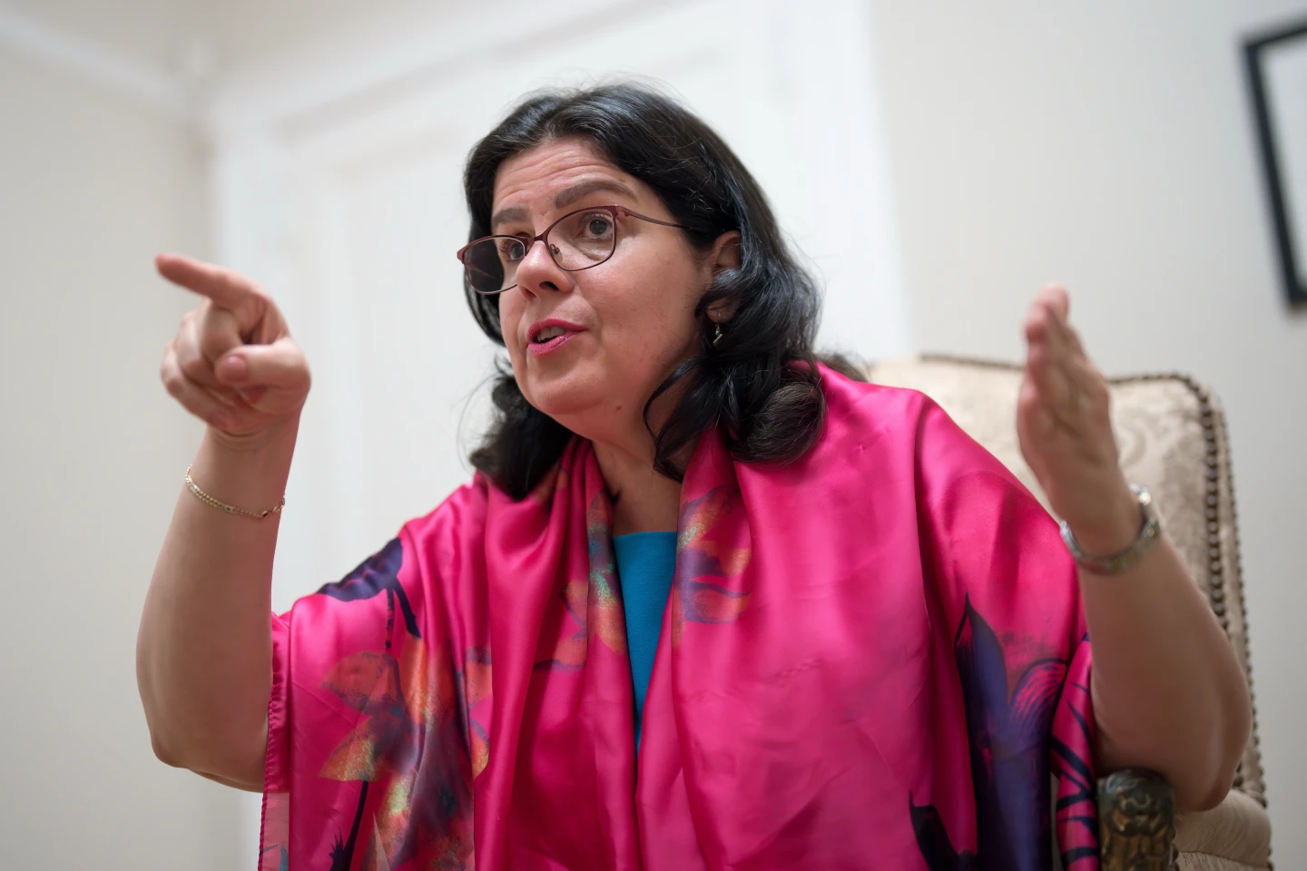 Cuba Envoy Lian Torres Rivera
