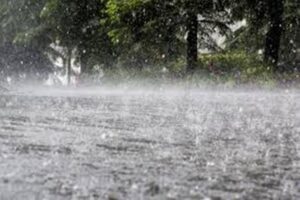 Heavy Rain