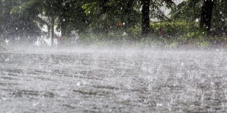 Rainfall