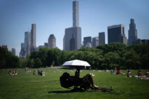 (A person uses an umbrella to shield themselves from the sun during a heat advisory in Central Park, May 19, 2026, in New York.  AP File Photo: Adam Gray)