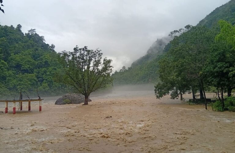 Natural disaster