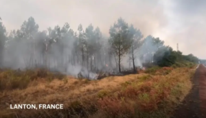 Wild Fire in Farnce