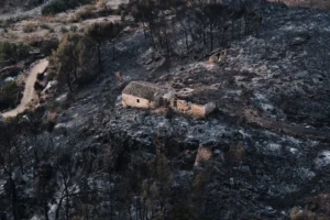 Wildfire in southern Spain