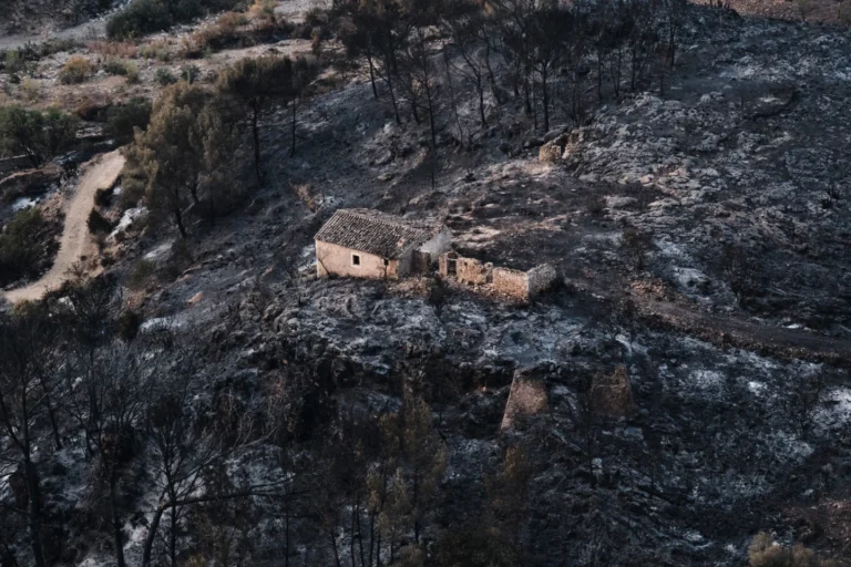 Wildfire in southern Spain