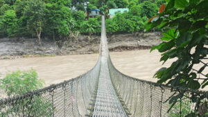 Bridge
