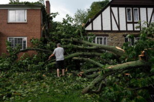 (A person inspects damage to homes from trees downed by severe storms on Tuesday, in Cincinnati on Wednesday, Aug. 12, 2026.  AP Photo: Carolyn Kaster)