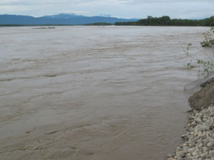 Narayani River